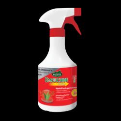 Emouchine Total RAVENE