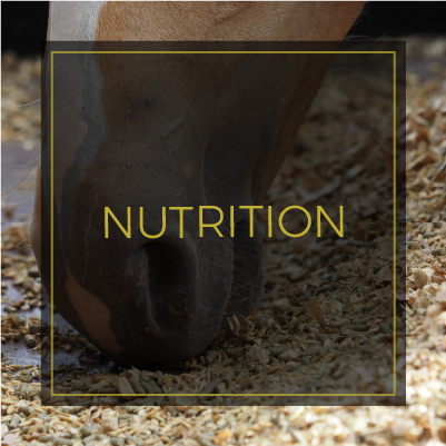 Nutrition