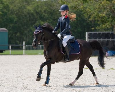 Veste de concours Junior Quinn QHP