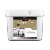 Harpagophytum Pur