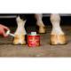 Liquid Hoof Dressing