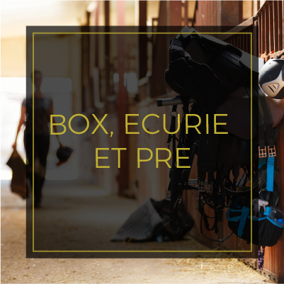 Box, curie et pr