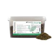 PHYTO VERRUES